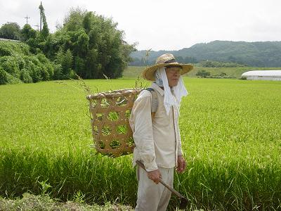 Japanese Farmer